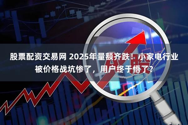 股票配资交易网 2025年量额齐跌！小家电行业被价格战坑惨了，用户终于悟了？