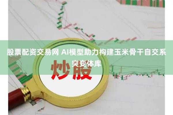 股票配资交易网 AI模型助力构建玉米骨干自交系突变体库