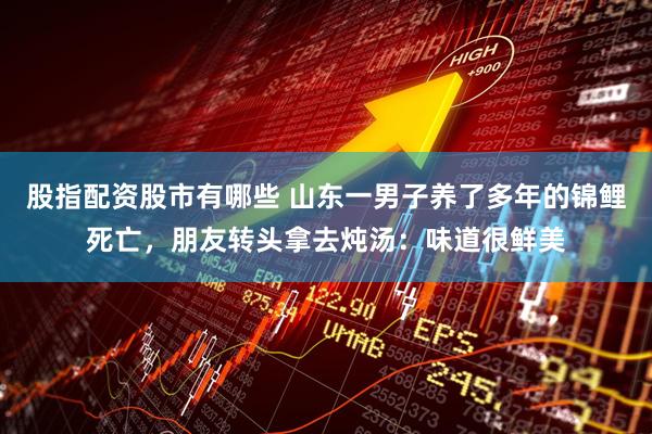 股指配资股市有哪些 山东一男子养了多年的锦鲤死亡，朋友转头拿去炖汤：味道很鲜美